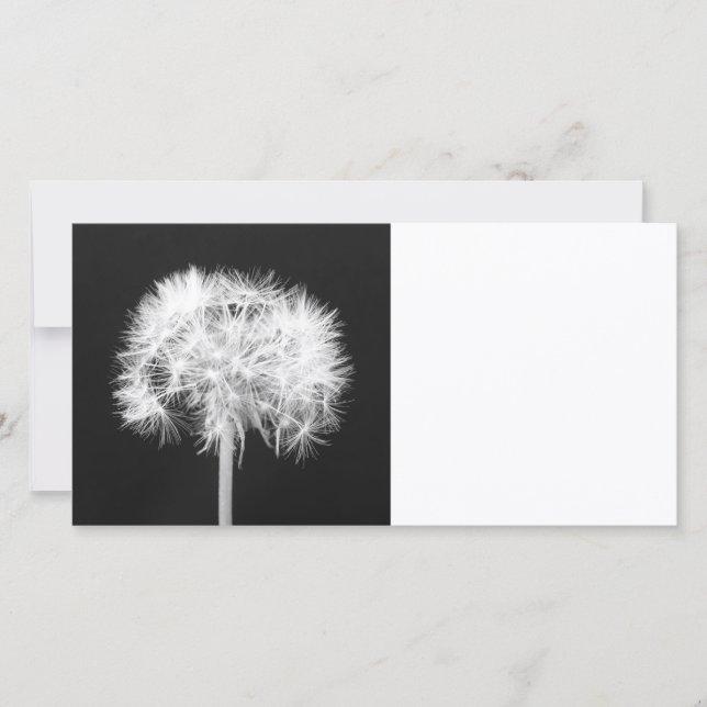 Dandelion-Fotokarte (Vorderseite)