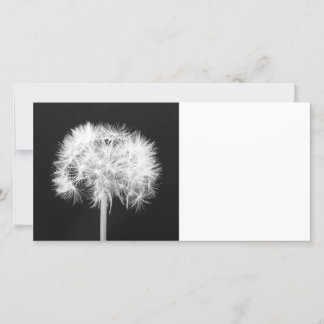 Dandelion-Fotokarte
