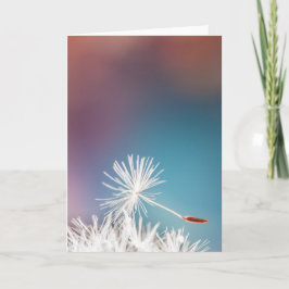 Dandelion Grußkarte Karte