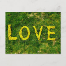 Dandelion-Liebe