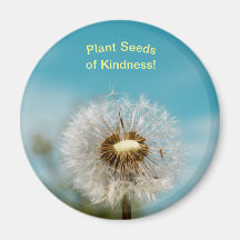 Dandelion Magnet Pflanze Seds of Kindness