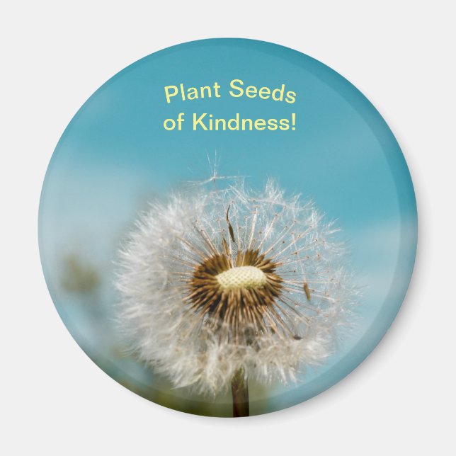 Dandelion Magnet Pflanze Seds of Kindness (Vorne)