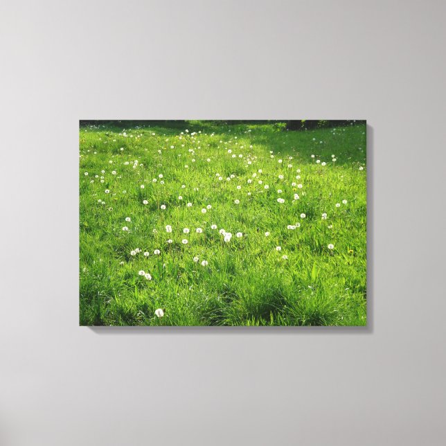 Dandelion Meadow Leinwanddruck (Vorderseite)