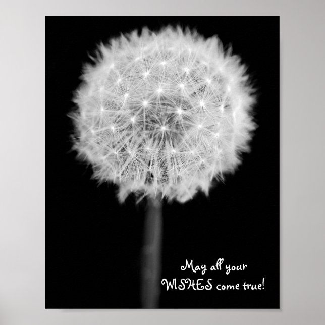 Dandelion: "Mögen alle deine Wünsche wahr werden!" Poster (Vorne)