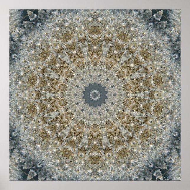 Dandelion Mosaic Nov 2012 Poster (Vorne)