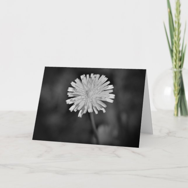 Dandelion / Noir, carte (Devant)