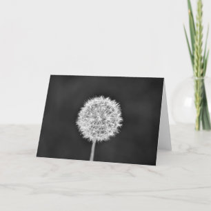 Dandelion - Noir, carte