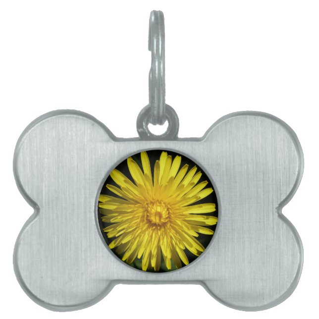 Dandelion Pet Tag Tiermarke (Vorderseite)