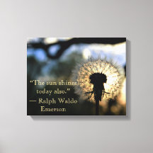 Dandelion Picture