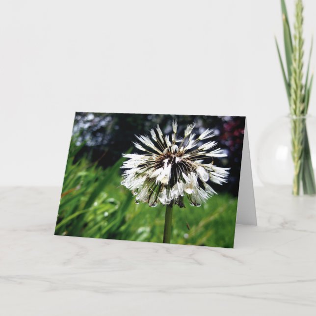 Dandelion Poof mit Poesie der Natur Karte (Vorderseite)