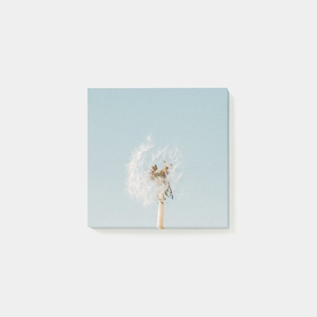 Dandelion Post-It Klebezettel (Vorderseite)