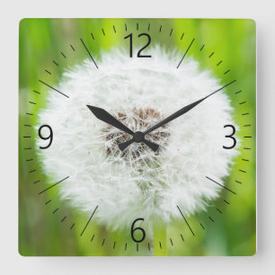 Dandelion Quadratische Wanduhr