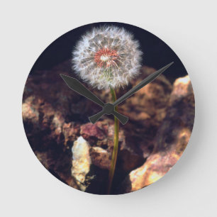 Dandelion Runde Wanduhr