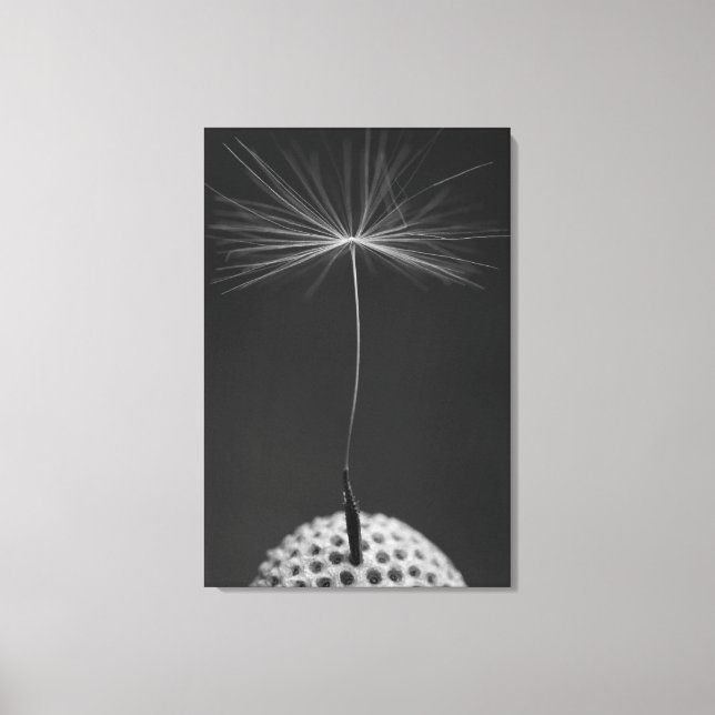 Dandelion Seed Foto auf Leinwand (Vorderseite)