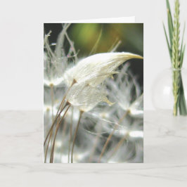 Dandelion Seeds Embrace, Geschichten in Naturgedic Karte