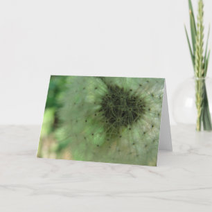 Dandelion Seeds Karte