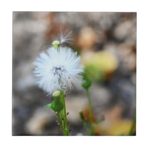 Dandelion Seeds Tile Fliese