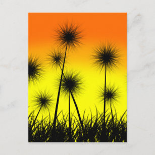 Dandelion Sunrise Postkarte