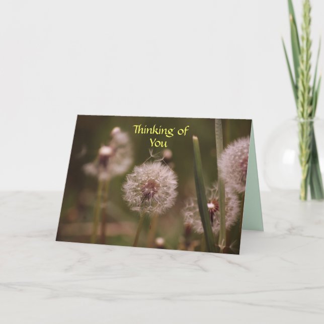 Dandelion Thinking of You Card Karte (Vorderseite)