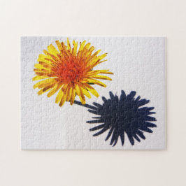 Dandelion und Shadow 11x14 252pc jpcnm