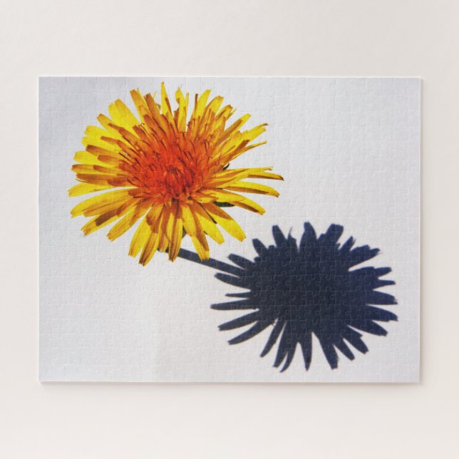 Dandelion und Shadow 16x20 520pc jpcna (Horizontal)