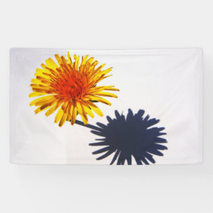 Dandelion und Shadow bnrcna Banner