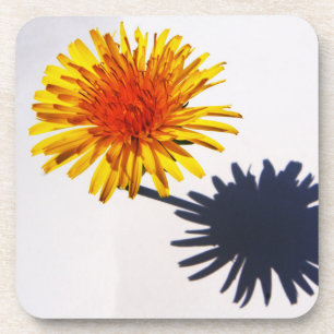Dandelion und Shadow Coercnm Getränkeuntersetzer