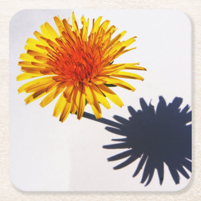Dandelion und Shadow Küstenercna Rechteckiger Pappuntersetzer (Vorderseite)