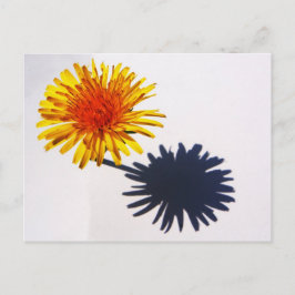 Dandelion und Shadow pccnm Postkarte