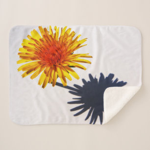 Dandelion und Shadow sbcna Sherpadecke