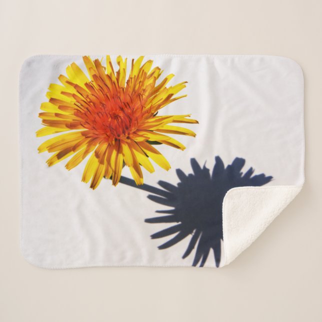 Dandelion und Shadow sbcna Sherpadecke (Vorderseite (Horizontal))