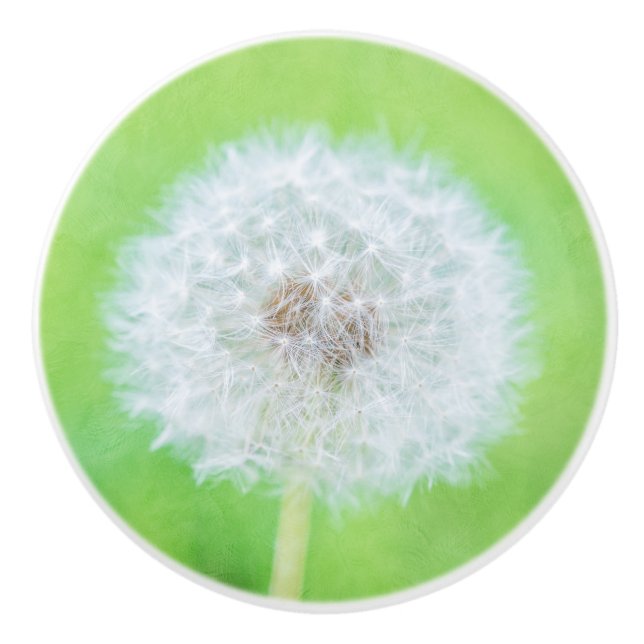 Dandelion - Weckte einfach die Schönheit auf Keramikknauf (Vorderseite)