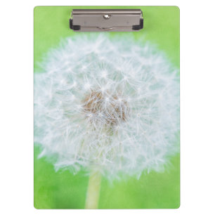 Dandelion - Weckte einfach die Schönheit auf Klemmbrett