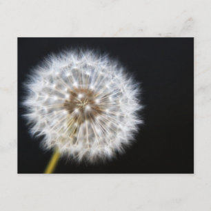 Dandelion Wedding RSVP Karte