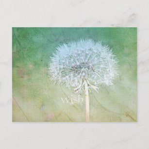 Dandelion Wish Dreamy Design Postkarte