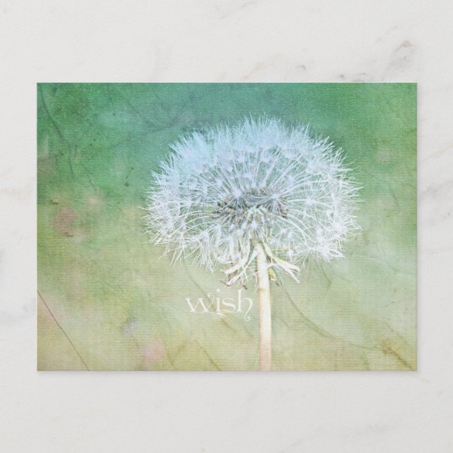 Dandelion Wish Dreamy Design Postkarte (Vorderseite)