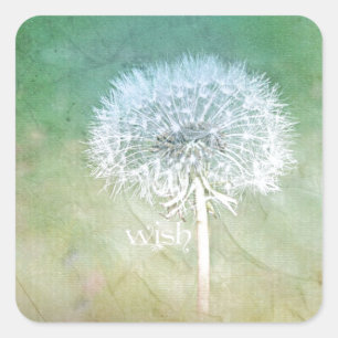 Dandelion Wish Dreamy Design Quadratischer Aufkleber