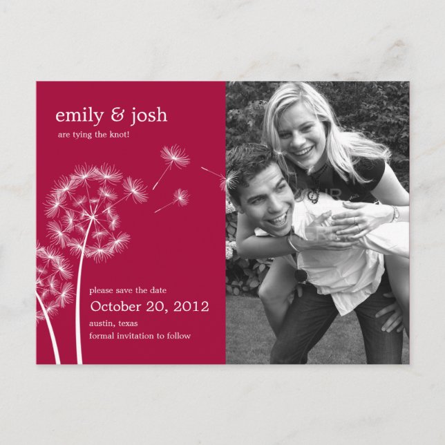 Dandelion Wish Foto Save the Date (Himbeere) Ankündigungspostkarte (Vorderseite)
