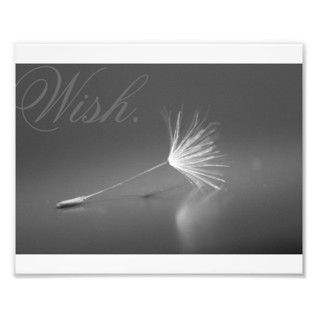 Dandelion Wish Photo (Devant)