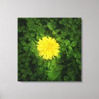 Dandelion Wrapped Canvas