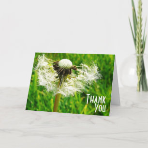 Dandelion Wwünscht - Danke, dass du mein Wunsch ge Dankeskarte