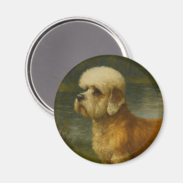 Dandi Dinmont Terrier Magnet (Vorderseite/Rückseite)