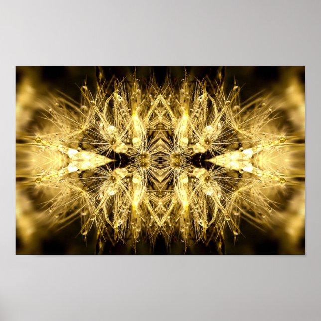 dandiana Poster (Vorne)