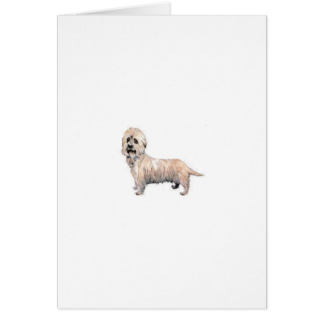 Dandie Dinmont Terrier (Vorne)