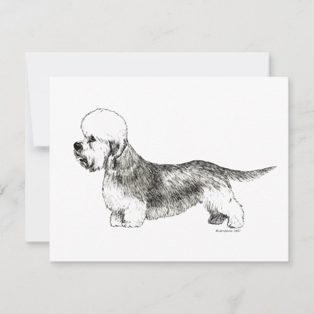 Dandie Dinmont Terrier (Vorderseite)