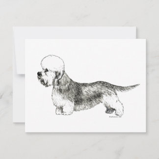 Dandie Dinmont Terrier
