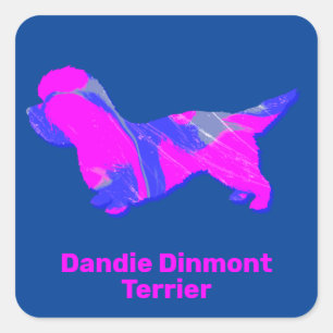 Dandie Dinmont Terrier Crazy Hot Pink und Blue Quadratischer Aufkleber