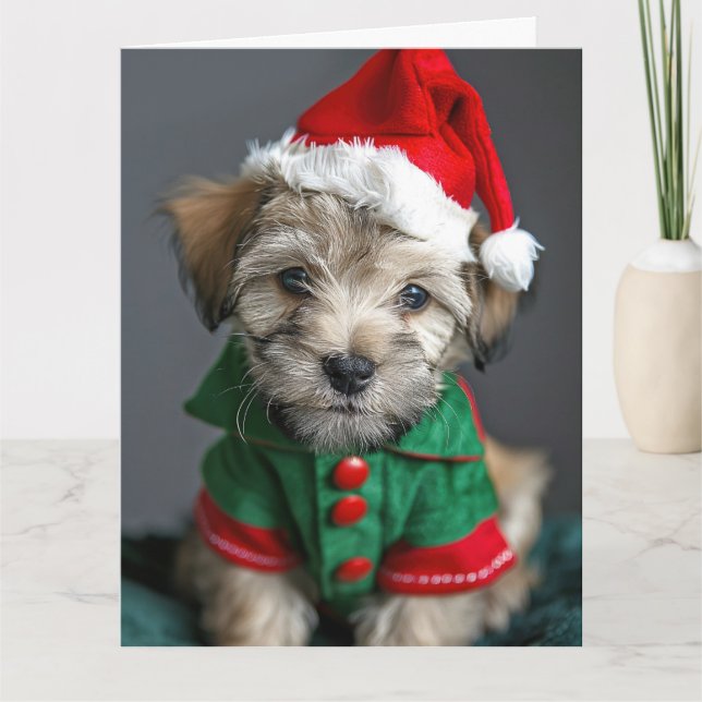 Dandie Dinmont Terrier Elf Puppy Christmas Card Karte (Vorderseite)