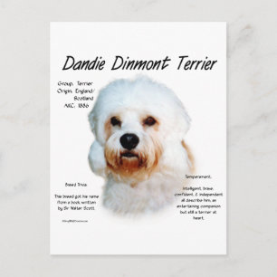 Dandie Dinmont Terrier Historisches Design Postkarte