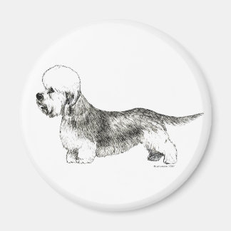 Dandie Dinmont Terrier Magnet